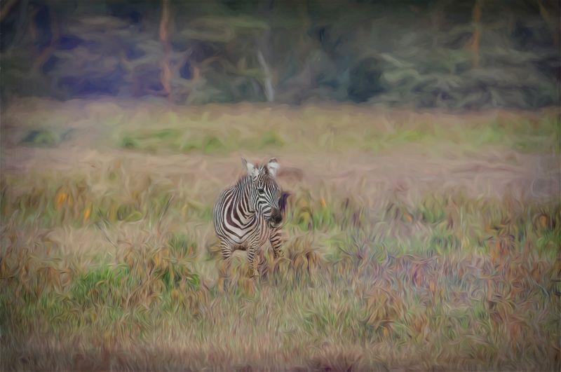 Lake Nakuru Painted_5.JPG