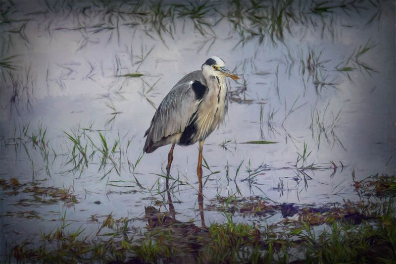 Amboseli Paint-10-studio.jpg