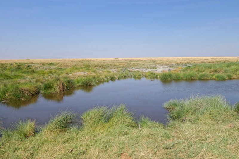 Serengeti -117.jpg