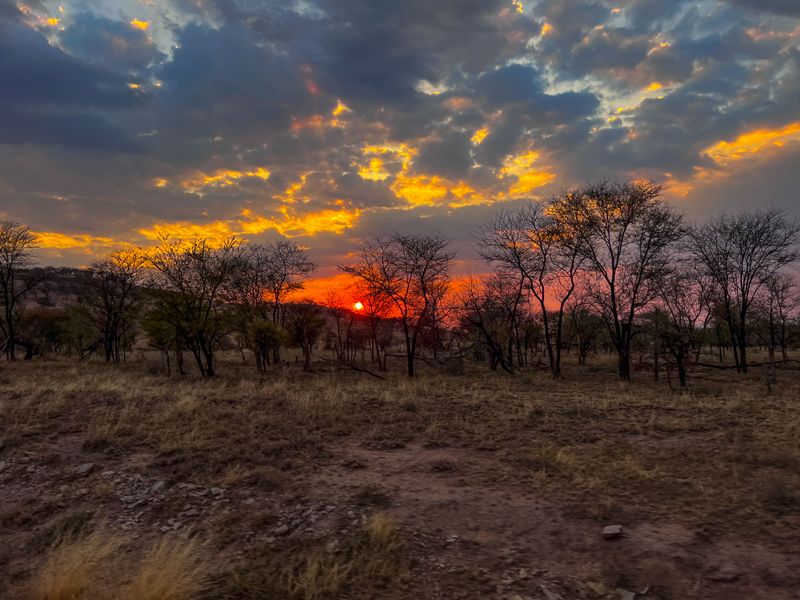 Serengeti -126.jpg