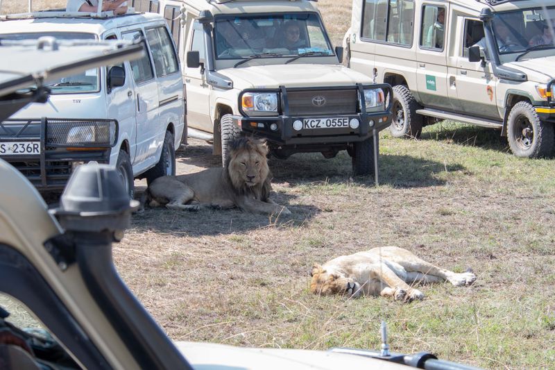 Masai Mara-45.jpg