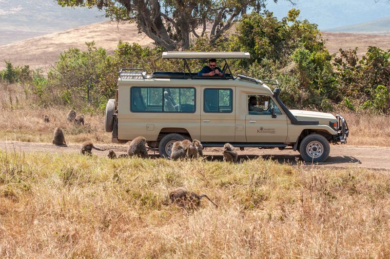 Ngorongoro-30.jpg