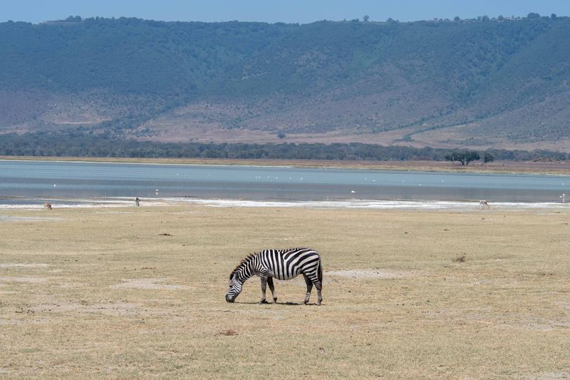 Ngorongoro-6.jpg