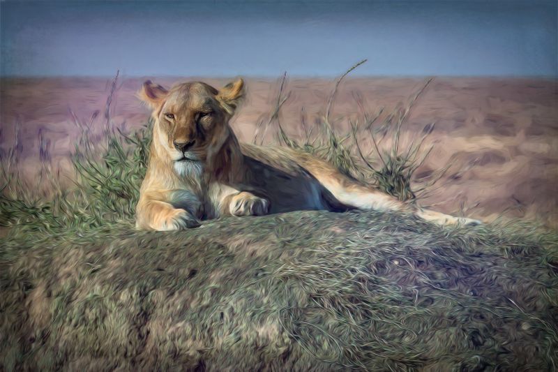 Ngorongoro Paint-2-studio.jpg