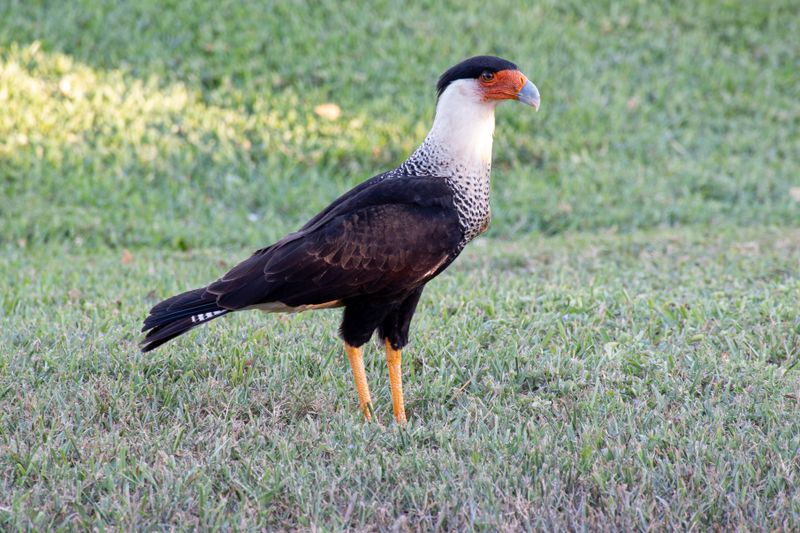 Costa Rica Feb 2025-29.jpg