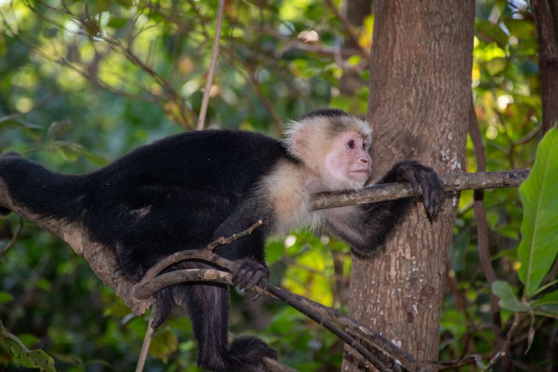 Costa Rica Feb 2025-32.jpg