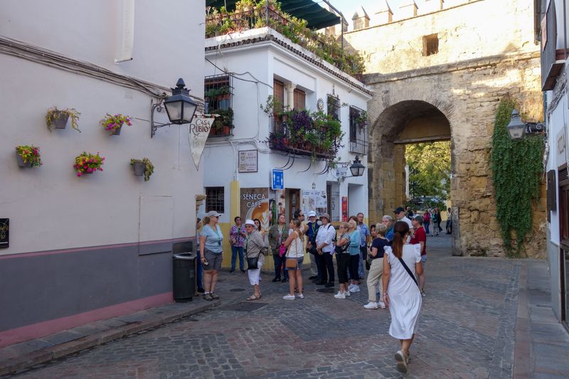 Seville Oct 2024-3.jpg