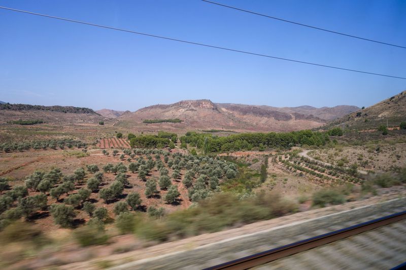 Barcelona Oct 2024-1.jpg