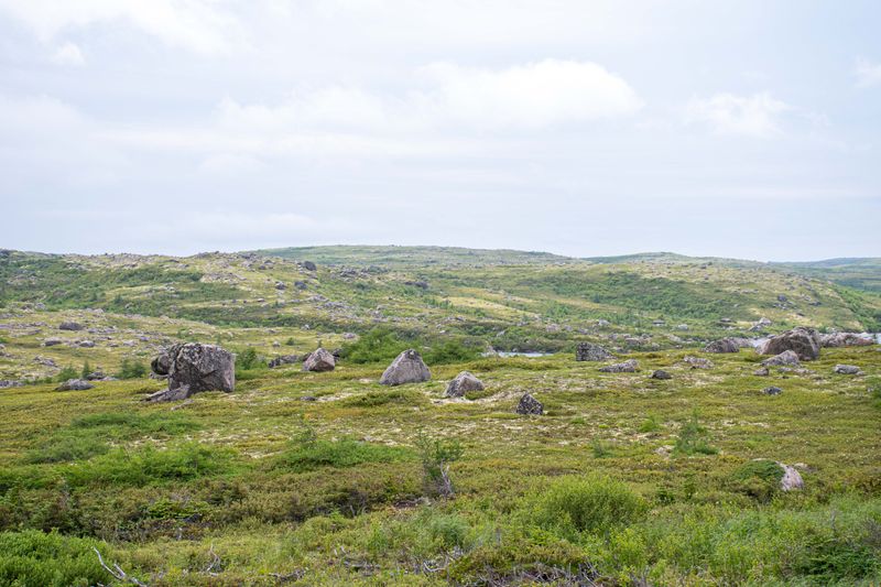 Que NFLD Eastern-15.jpg