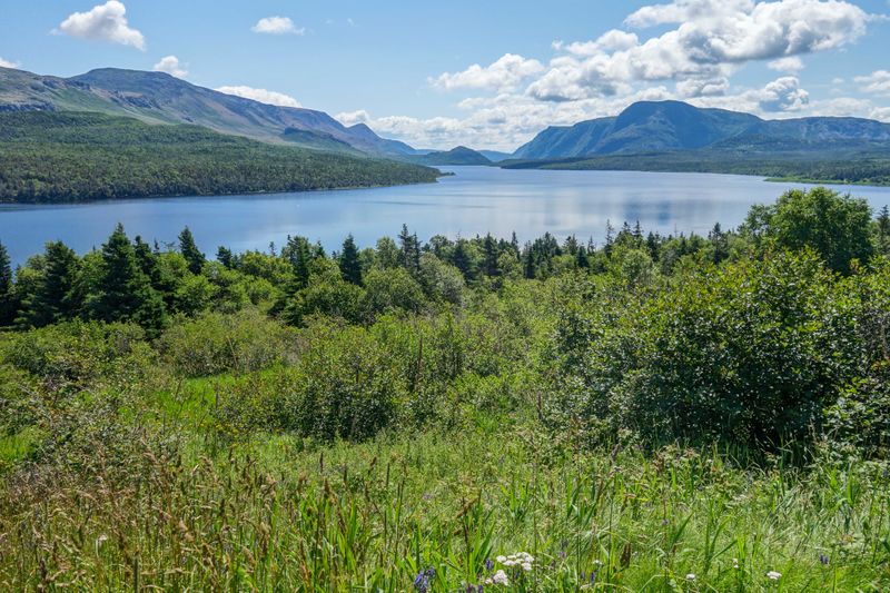 Que NFLD Eastern-44.jpg