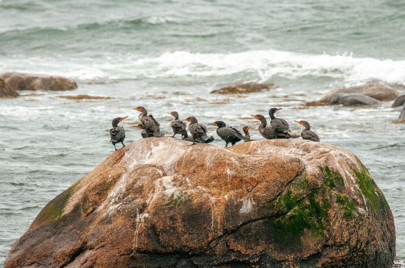 Que NFLD Eastern-53.jpg