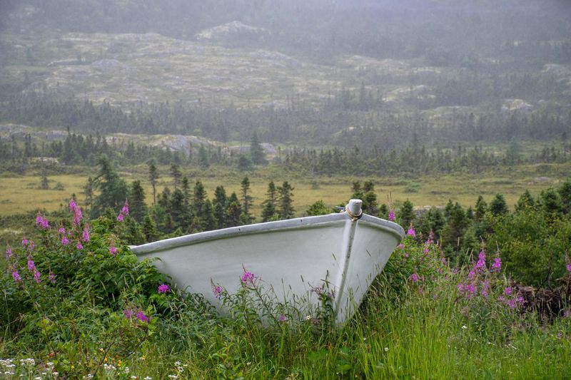 Que NFLD Eastern-64.jpg