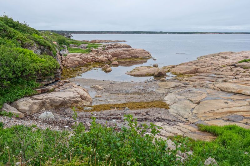 Que NFLD Eastern-7.jpg