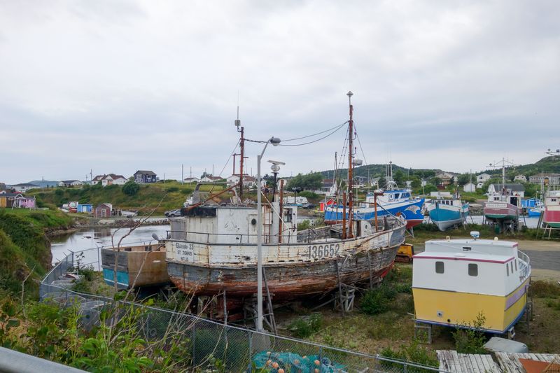 Que NFLD Eastern-81.jpg