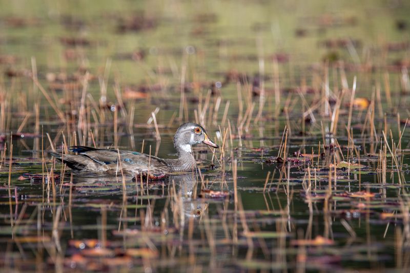 ALQ Fall 2025-106.jpg