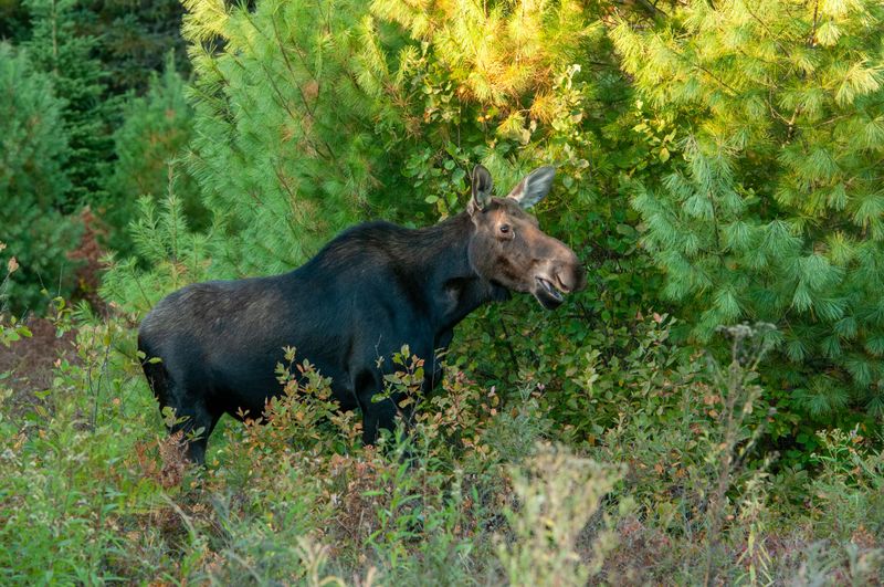 ALQ Fall 2025-113.jpg