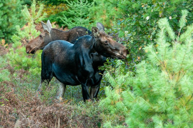 ALQ Fall 2025-114.jpg