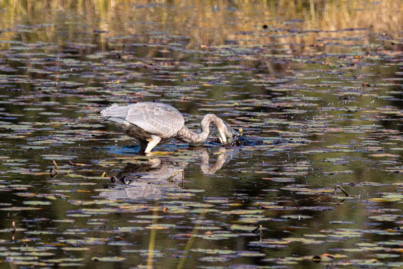 ALQ Fall 2025-117.jpg