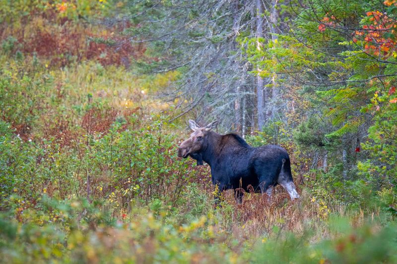 ALQ Fall 2025-136.jpg