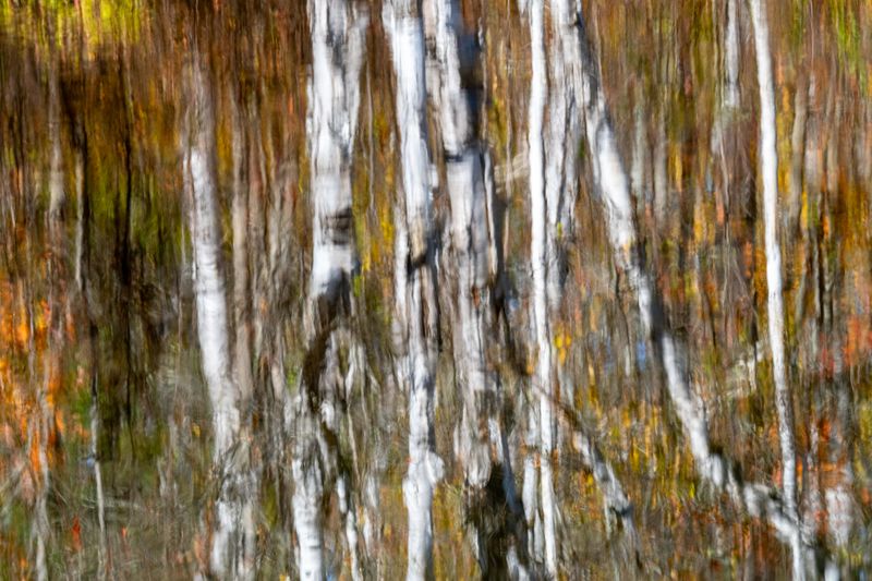 ALQ Fall 2025-137.jpg