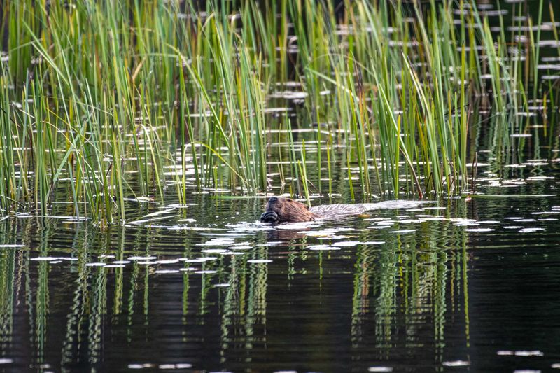 ALQ Fall 2025-139.jpg