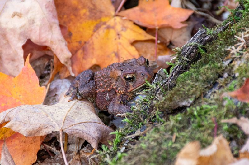 ALQ Fall 2025-151.jpg