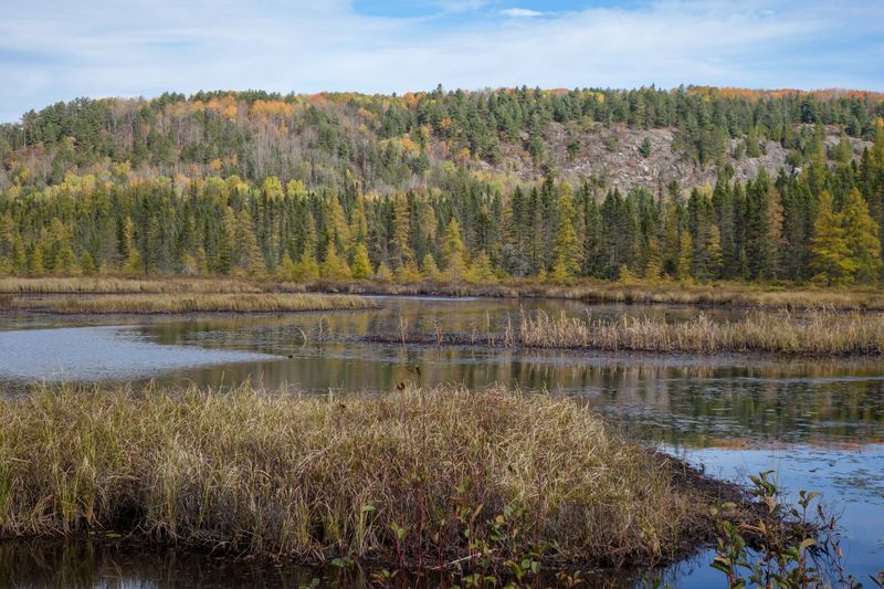 ALQ Fall 2025-158.jpg