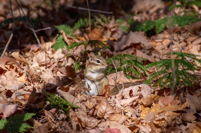 ALQ Fall 2025-161.jpg