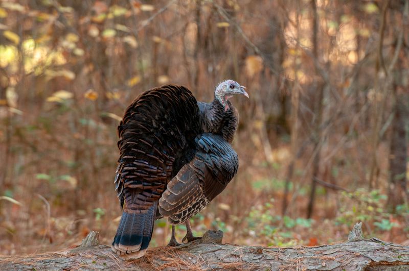 ALQ Fall 2025-163.jpg