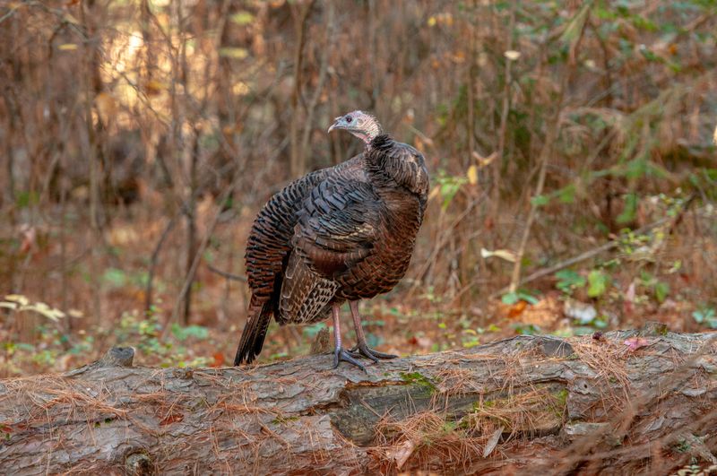 ALQ Fall 2025-164.jpg