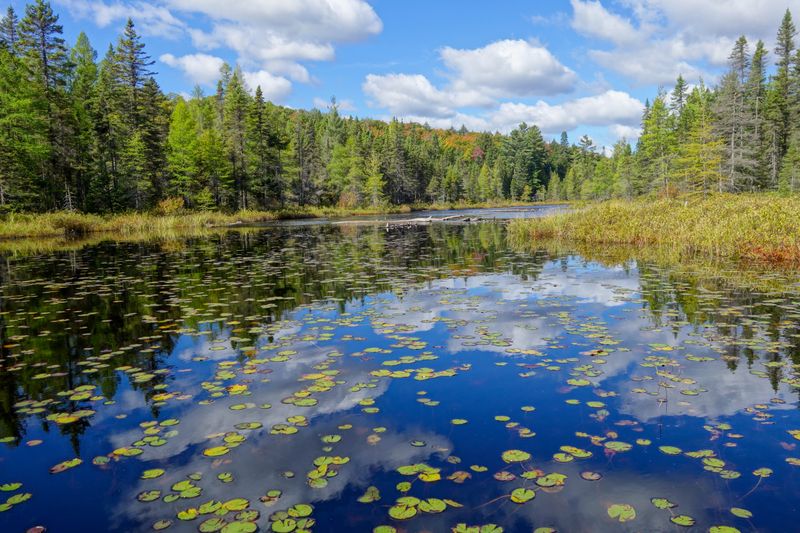 ALQ Fall 2024-110.jpg