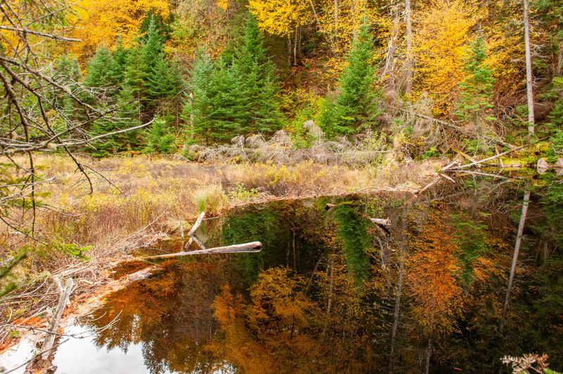 ALQ Fall 2024-125.jpg