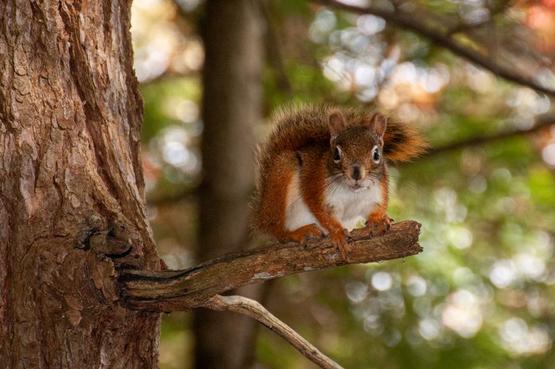 ALQ Fall 2024-133.jpg