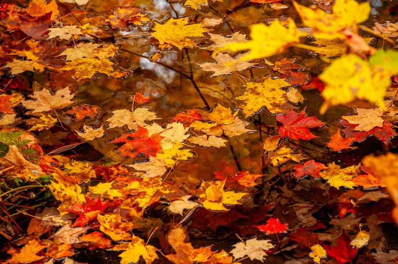 ALQ Fall 2024-134.jpg