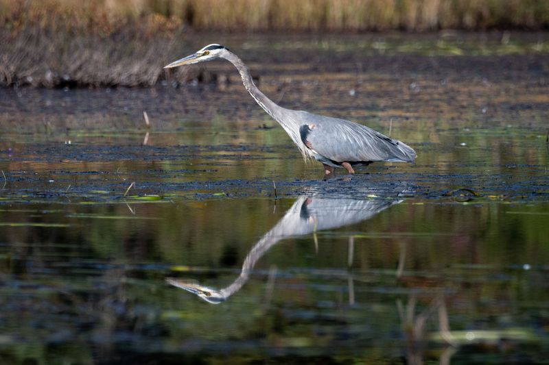 ALQ Fall 2024-154.jpg