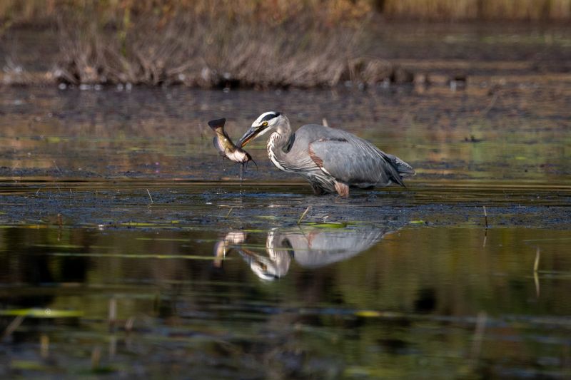 ALQ Fall 2024-156.jpg