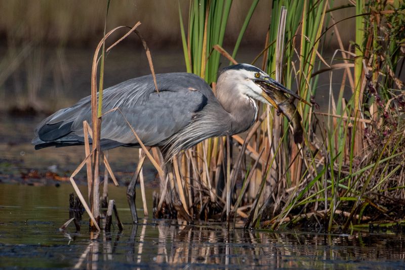 ALQ Fall 2024-160.jpg