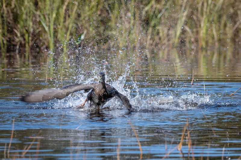 ALQ Fall 2024-172.jpg