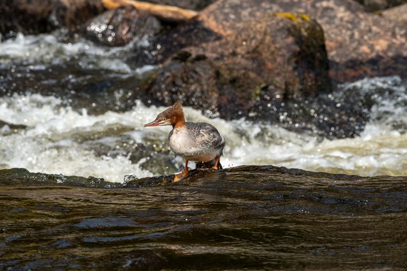 ALQ Fall 2024-190.jpg