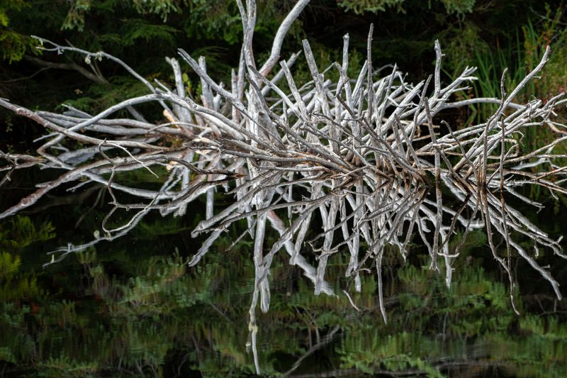 ALQ Fall 2024-192.jpg