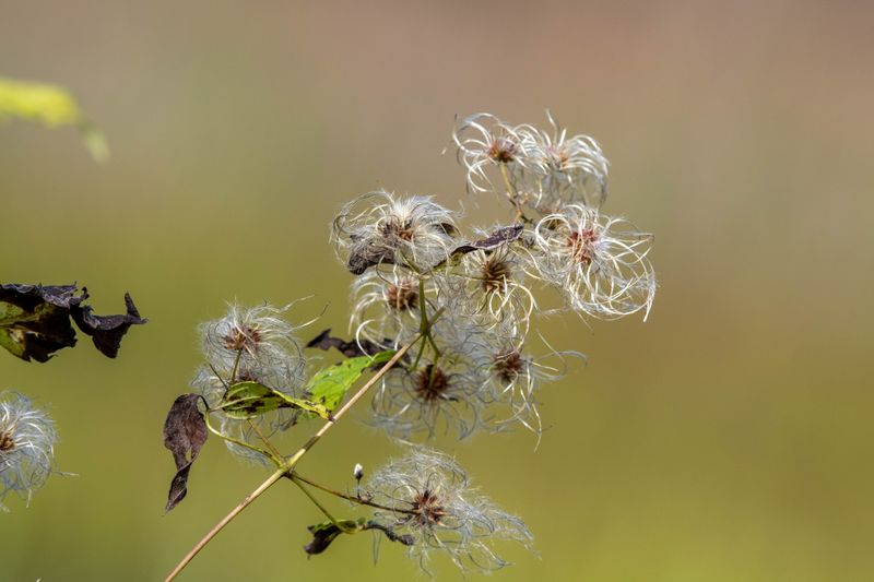 ALQ Fall 2024-197.jpg