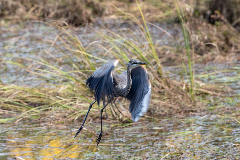 ALQ Fall 2024-200.jpg