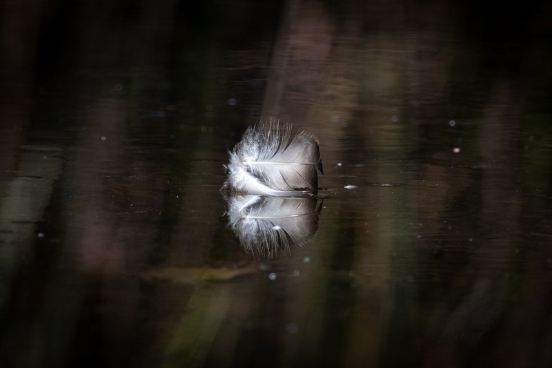 ALQ Fall 2024-206.jpg