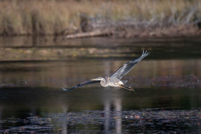 ALQ Fall 2024-217.jpg