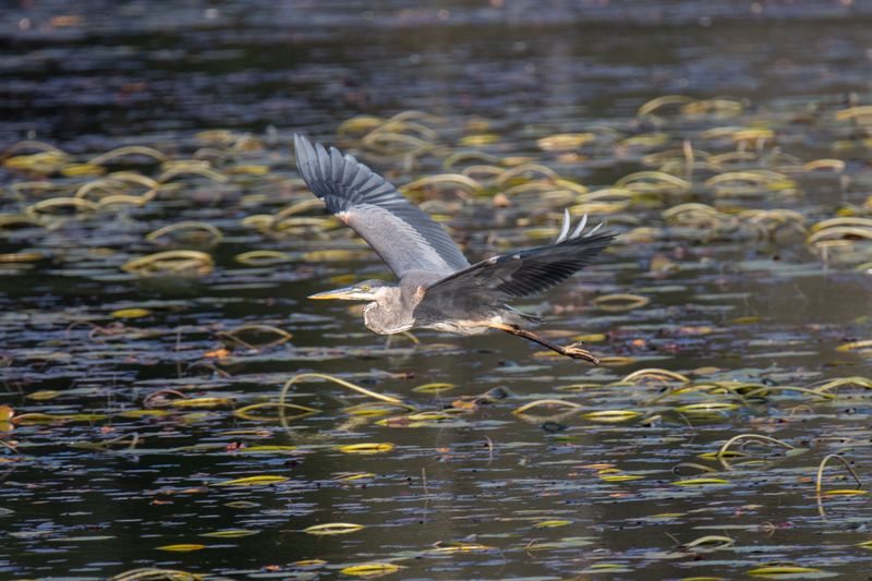 ALQ Fall 2024-218.jpg