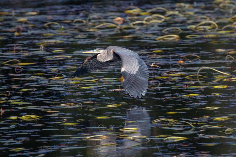 ALQ Fall 2024-219.jpg