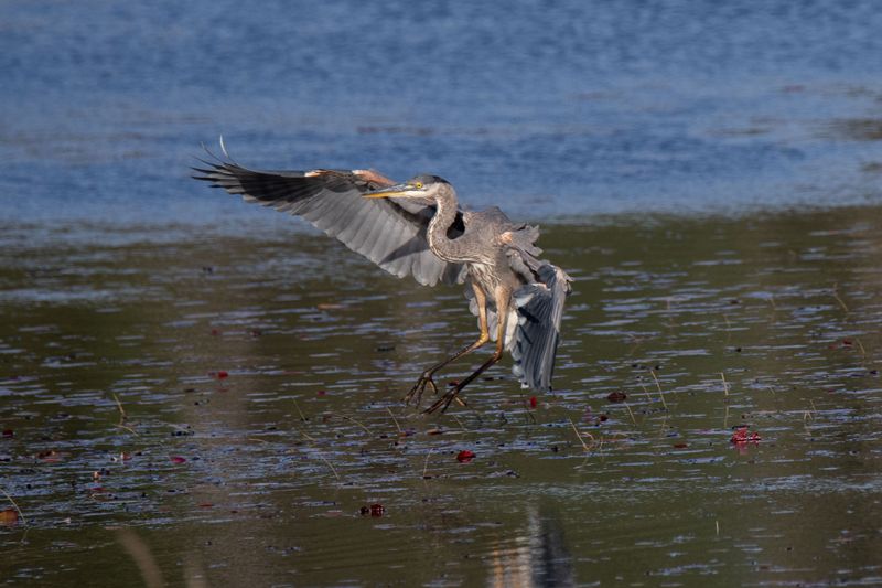 ALQ Fall 2024-223.jpg