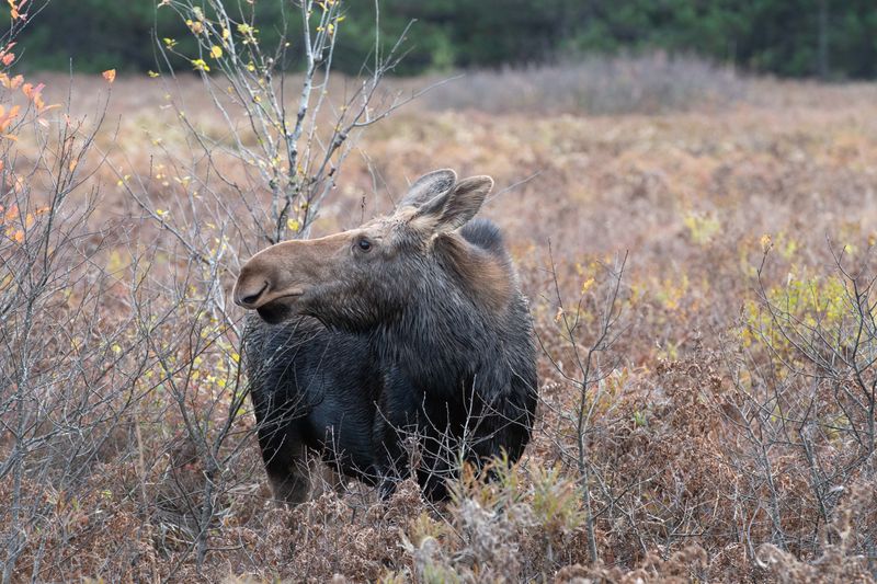 ALQ Fall 2024-241.jpg