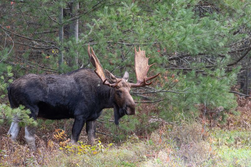 ALQ Fall 2024-247.jpg