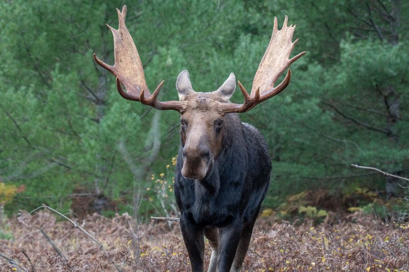 ALQ Fall 2024-253.jpg